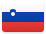 flag image